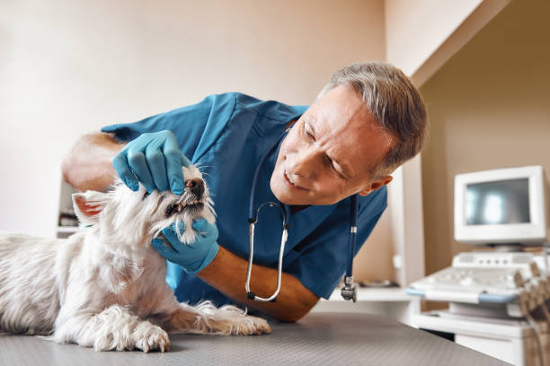 Best Emergency Wisdom Teeth Removal in Drexel, NC