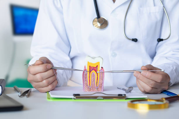 Best Emergency Dental Care for Trauma or Injury in Drexel, NC